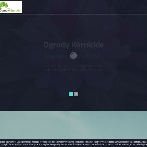 Drzewa alejowe w Poznaniu