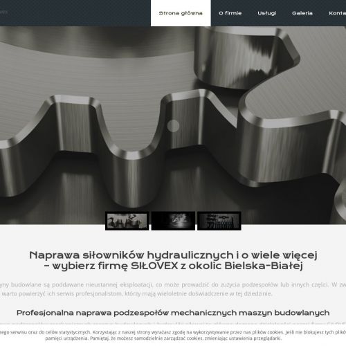 Katowice - regeneracja hydrauliki siłowej