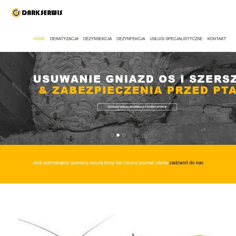 Gliwice - zwalczanie mrówek śląskie