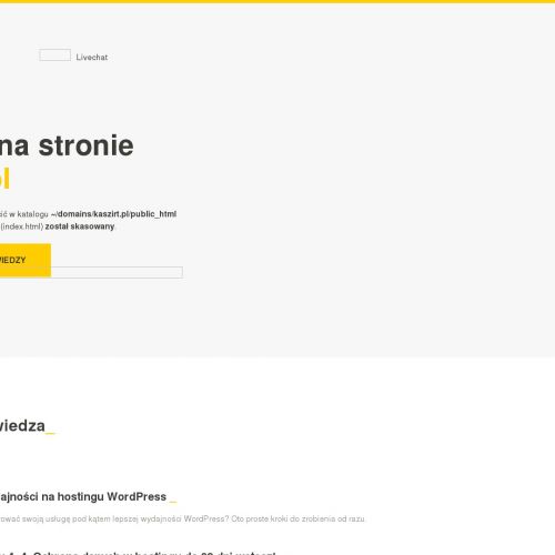 Robienie nadruków na koszulki