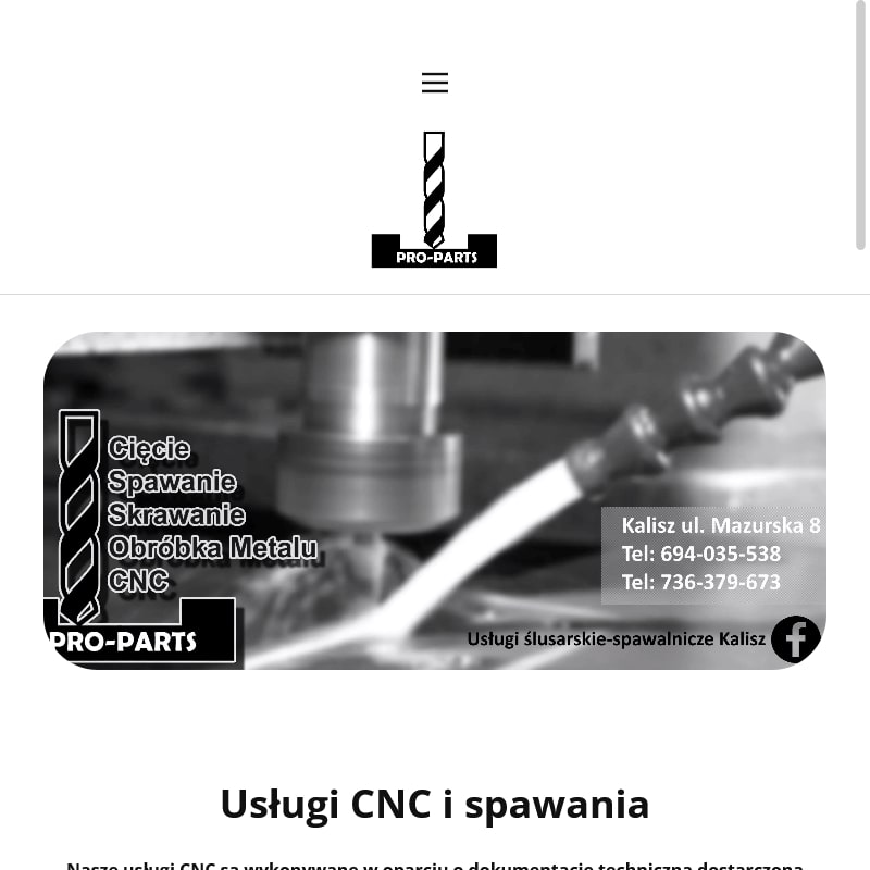 Kalisz - wtyk rca