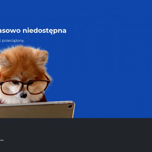 Dezynsekcja mieszkania - Warszawa