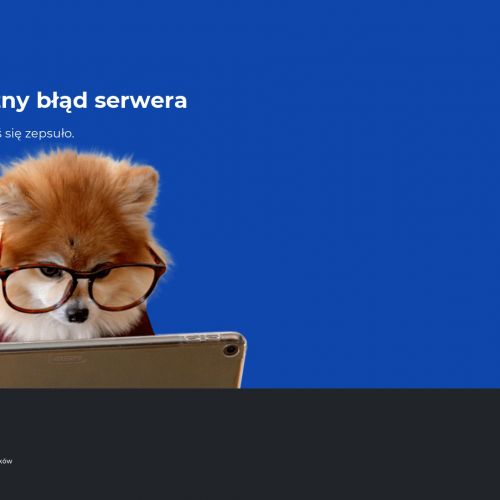 Kurs na wózki widłowe wrocław udt - Oleśnica