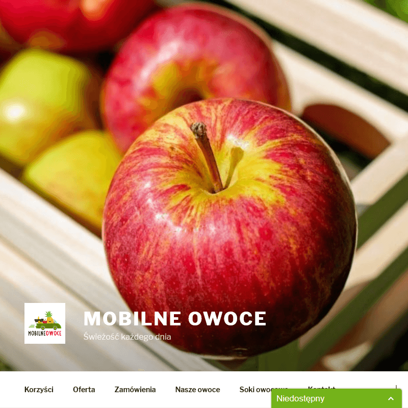 Upominkowy kosz owoców Kraków